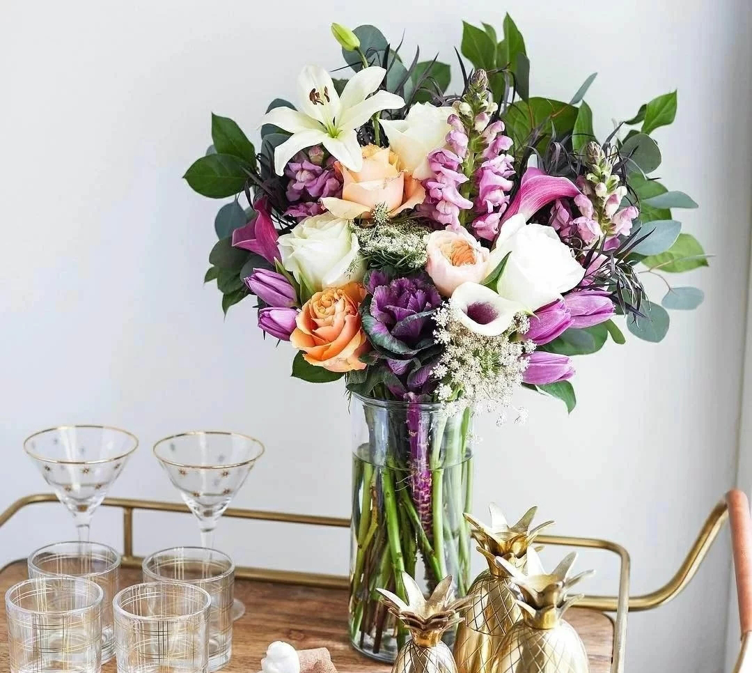 这几种花卉,冬天在家养上几盆,高端大气上档次