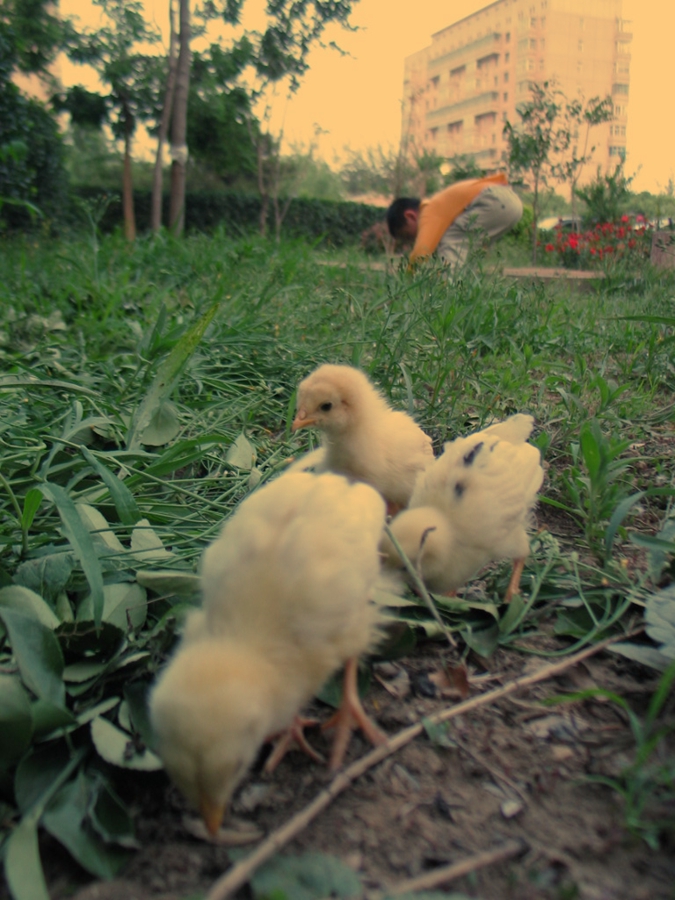 云影流落,云影为什么不直播了