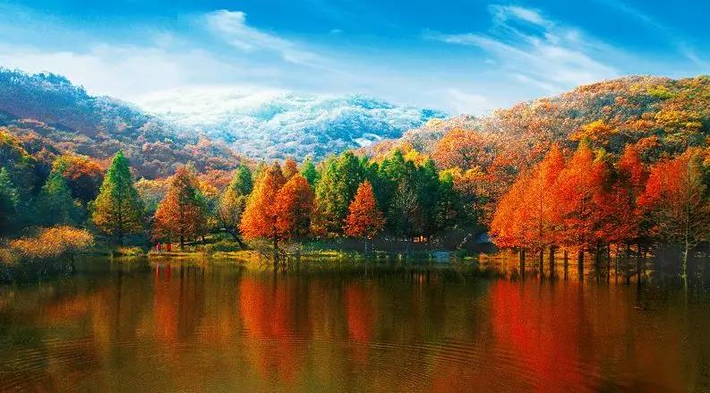 洛阳旅游年票嵩县在哪里办理,嵩县旅游年票价格表