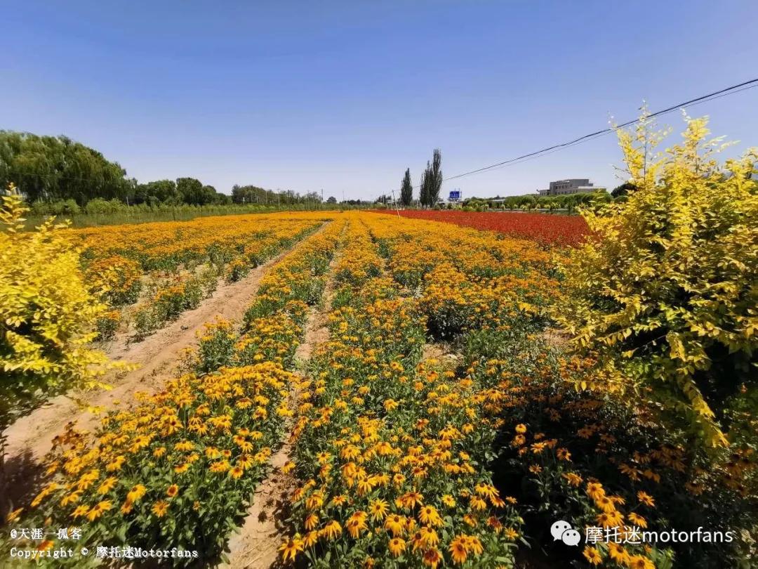 天津力帆k19,力帆摩托车k19骑行视频