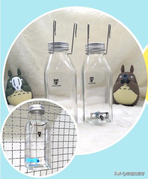 龙猫训练方法和注意事项,龙猫要准备哪些用品