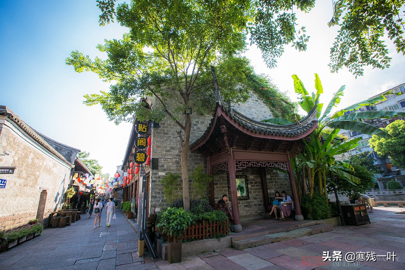 宁波不收门票的景区,宁波景区小吃街有哪些地方