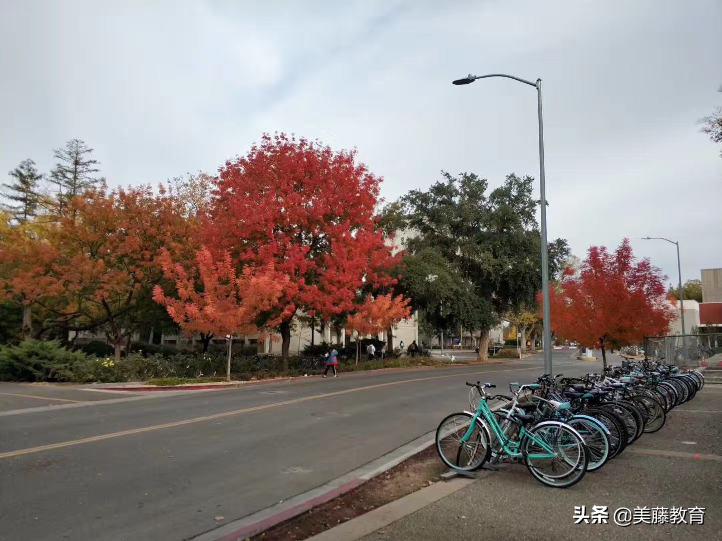 威斯康星大学麦迪逊分校2021录取,威斯康星麦迪逊分校缺点