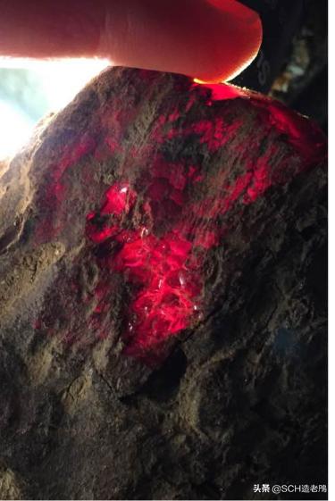 关于琥珀形成的资料,琥珀的种类及介绍