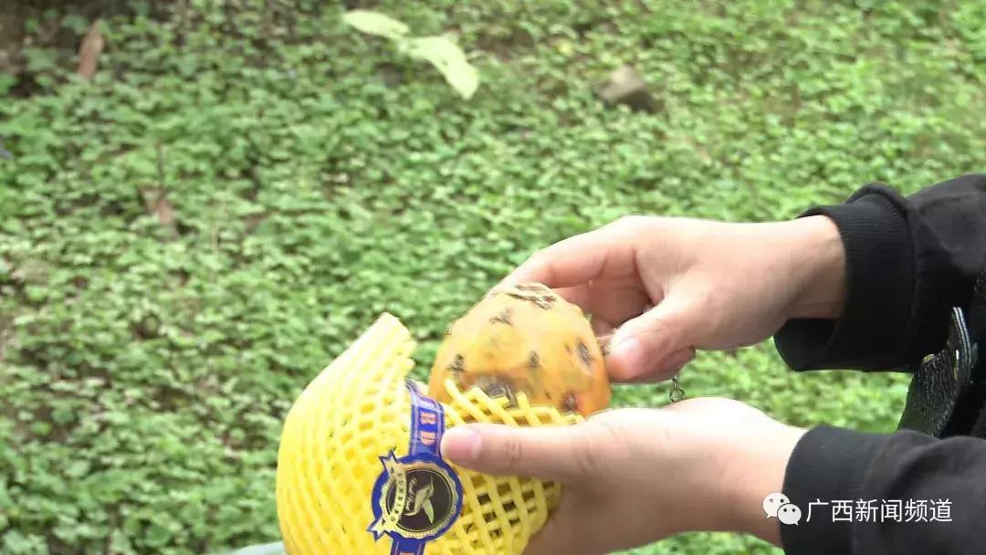 进口水果不简单的原因,你想知道的进口水果