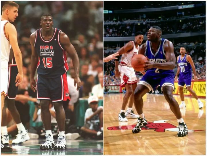 锡安和凯尔登约翰逊,锡安模板约翰逊