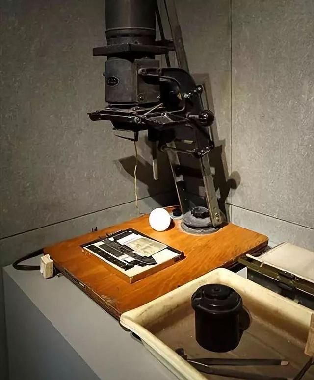 现实中拍摄到的翼龙,一百年前翼龙照片