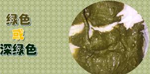 婴儿消化不好腹泻吃什么辅食好,宝宝消化不良腹泻可以吃哪些辅食