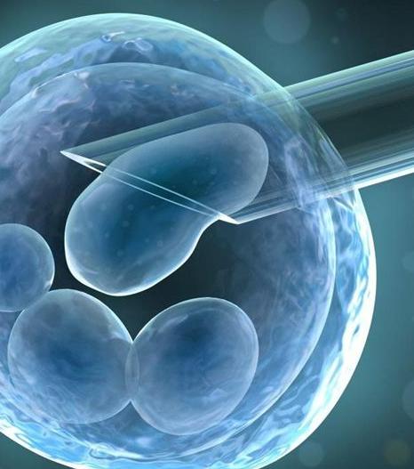 林志玲冷冻卵子,徐静蕾谈冻卵价格