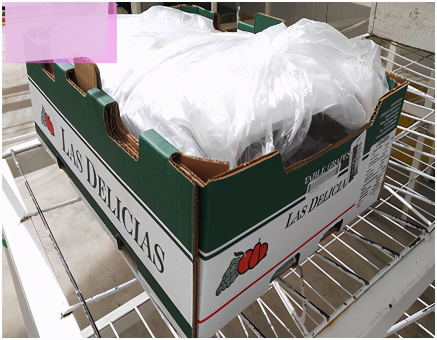 进口提子哪些品种 (进口提子品种及图解)