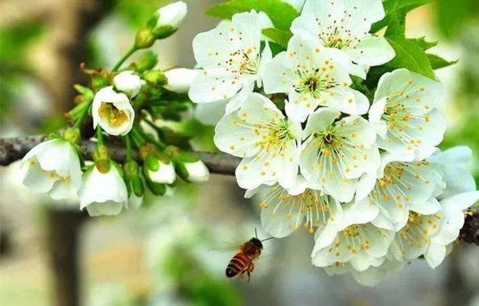 再过半个月，全国人民都将羡慕南阳