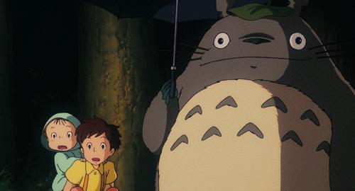 宫崎骏龙猫中一共有多少只龙猫,宫崎骏龙猫动画电影大全