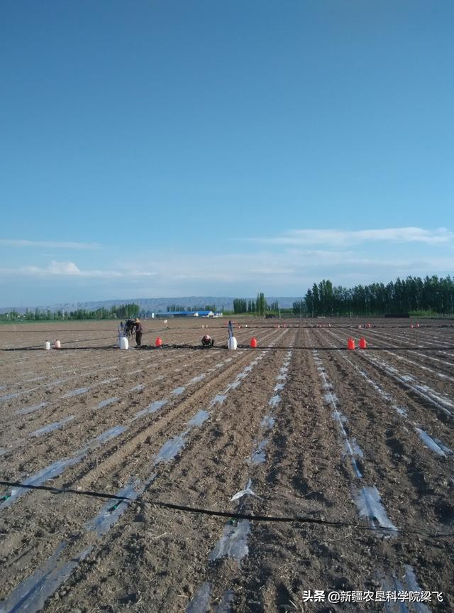 新疆兵团团场改革后的建议,兵团团场改革办法