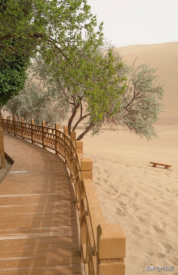 鸣沙山月牙泉堆满了游客,鸣沙山月牙泉景区