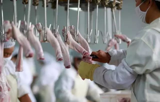 加盟周黑鸭多久能回本,周黑鸭加盟最新费用曝光