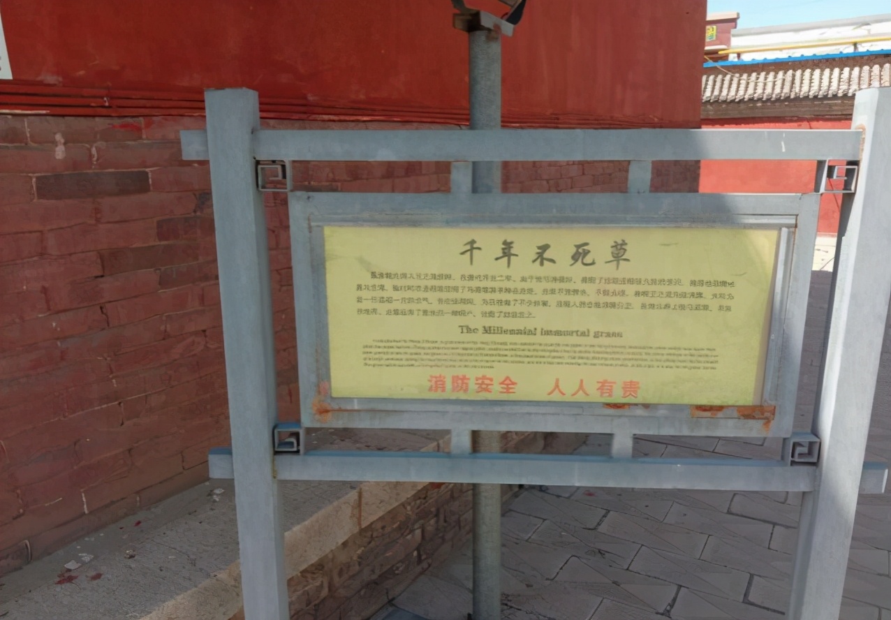 飞天奖衡水举行,飞天奖在衡水举办原因