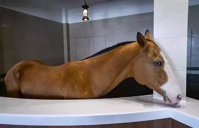 中国马镇七彩游玩3天攻略,马镇冰火节游玩