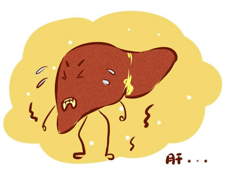 肝不好会引起皮肤痒吗,肝区皮肤痒怎么回事