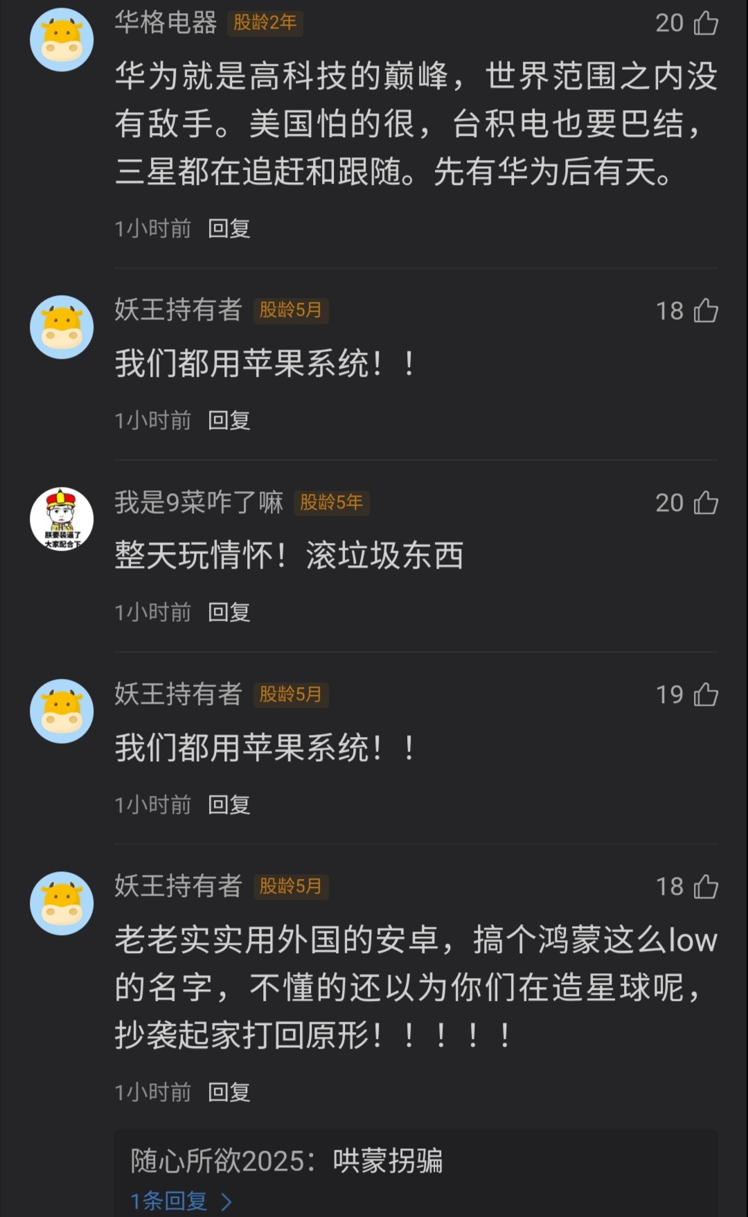 华为所面临的困难,华为苦难史