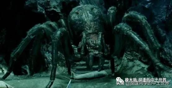 中土世界蜘蛛怪的起源,中土世界蜘蛛被奴役