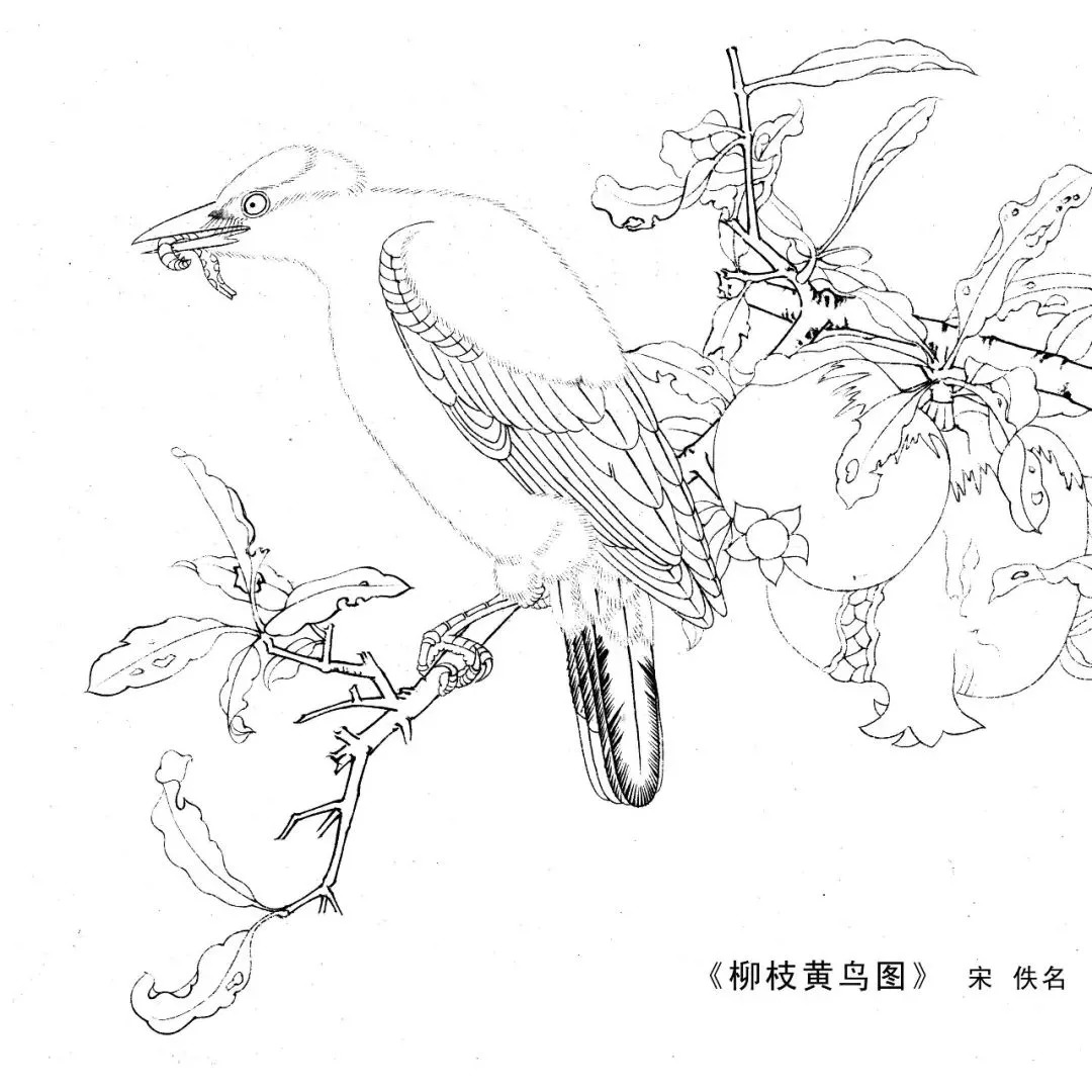 宋人工笔白描,宋人小品花鸟工笔白描高清图