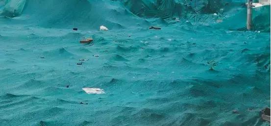 太强了！她笔下的「神秘画风」真是惊艳！