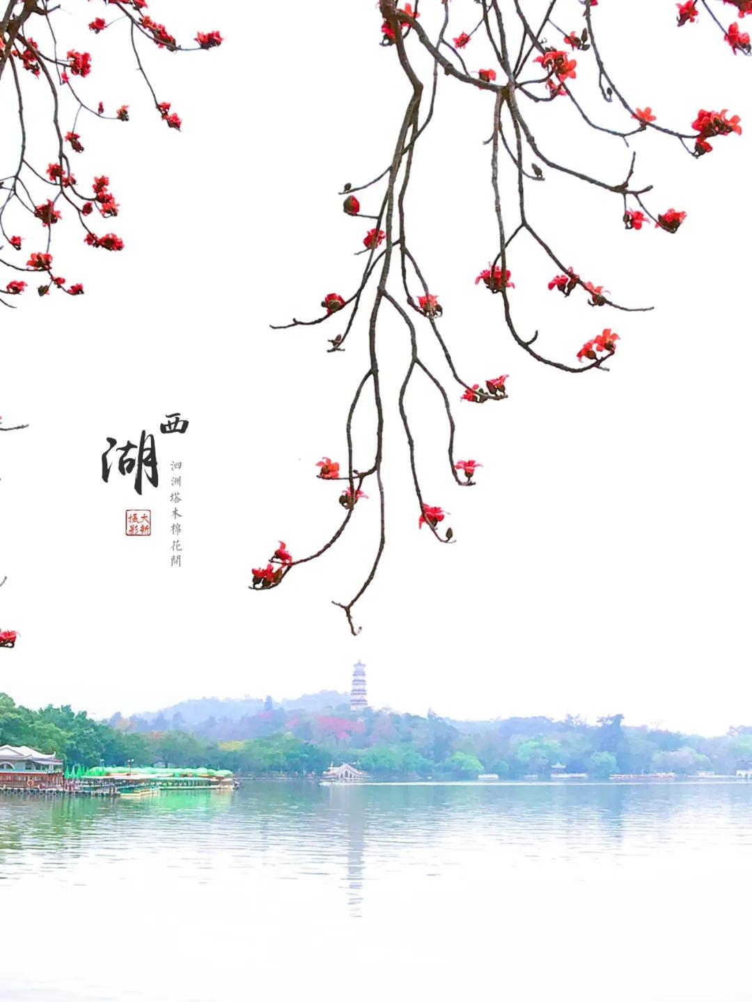 惠州亮灯为武汉加油,惠州武汉加油