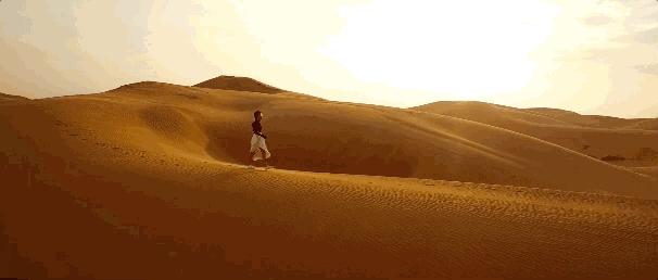 艾小羊谈杨子姗,艾小羊小说