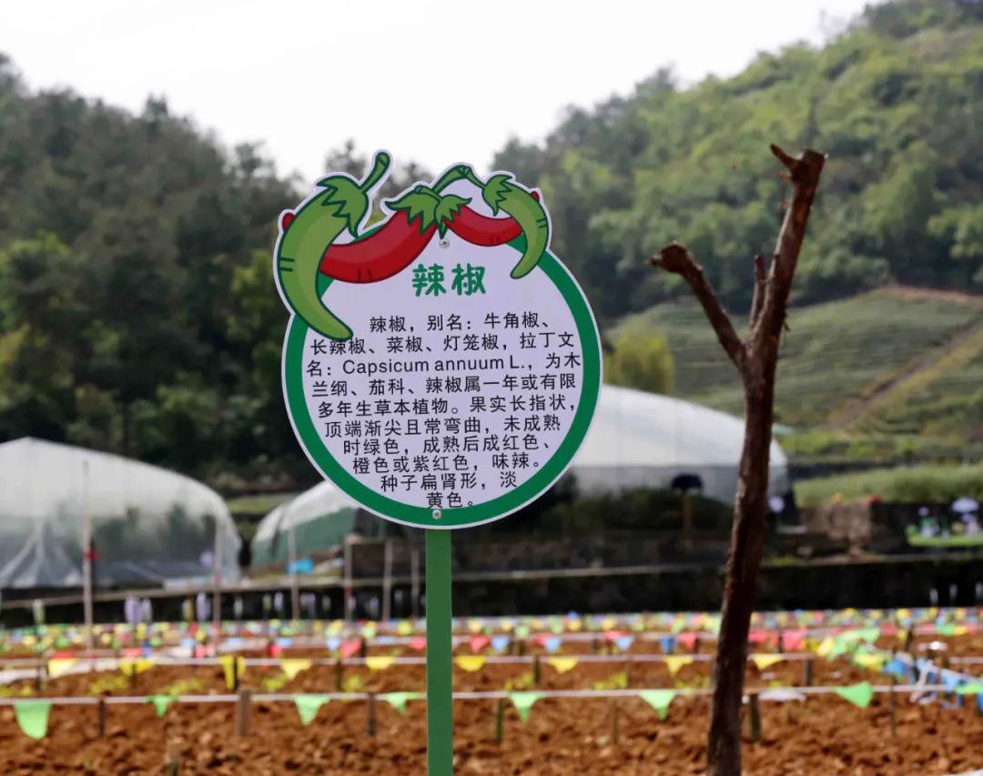 一起去瓶窑“拿块地”！古城旁，南山下，50个平方200元......