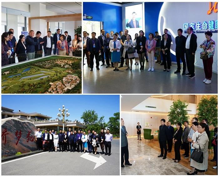 汇聚侨智侨力助推高质量发展,凝聚侨智侨力同心共圆中国梦