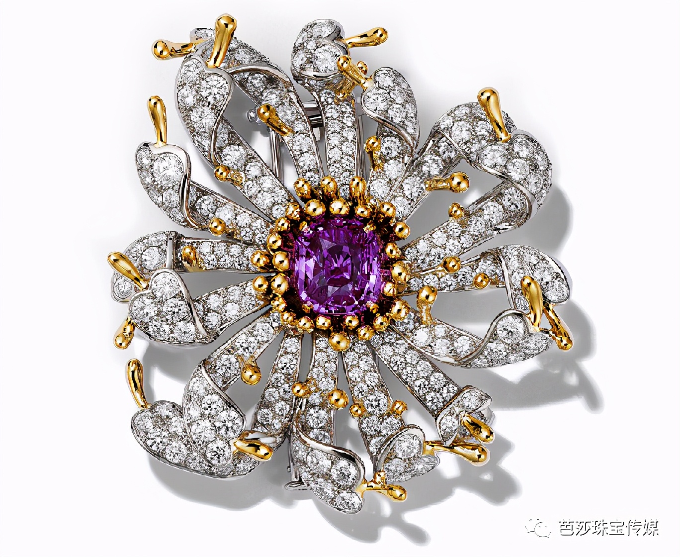 2018芭莎珠宝极品夜宴,芭莎珠宝极品