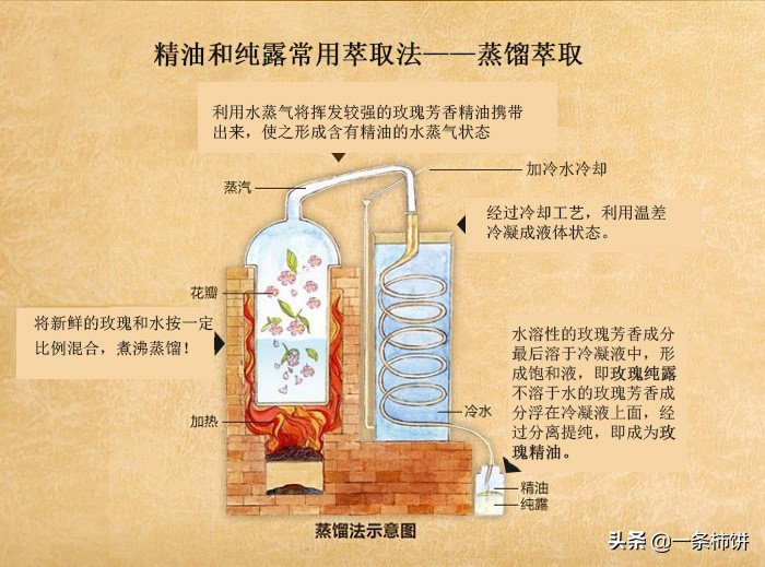 香水平替和正品的区别,香水推荐便宜中性