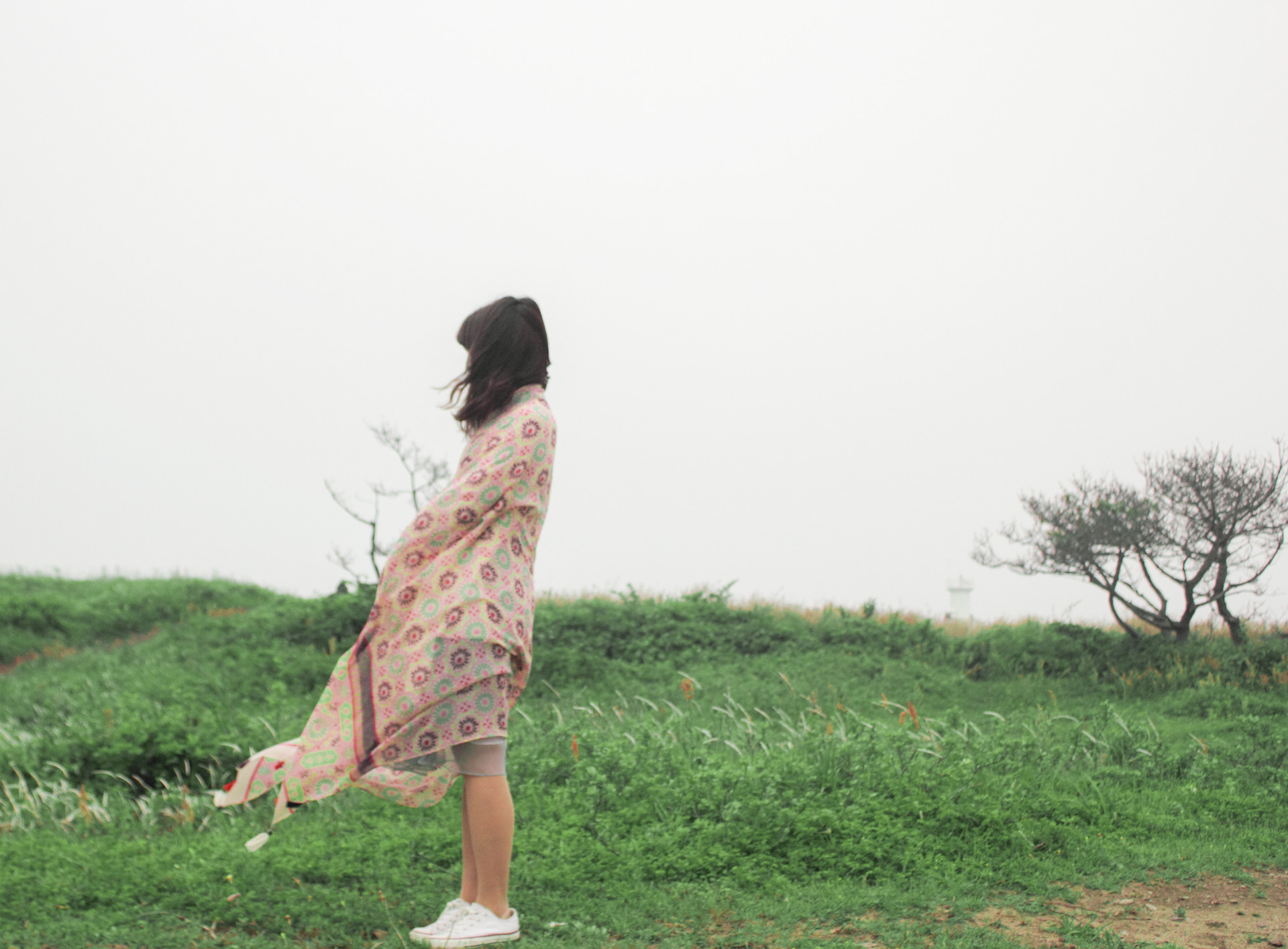 济州岛旅游攻略好吃的,济州岛著名景点排行榜前十名