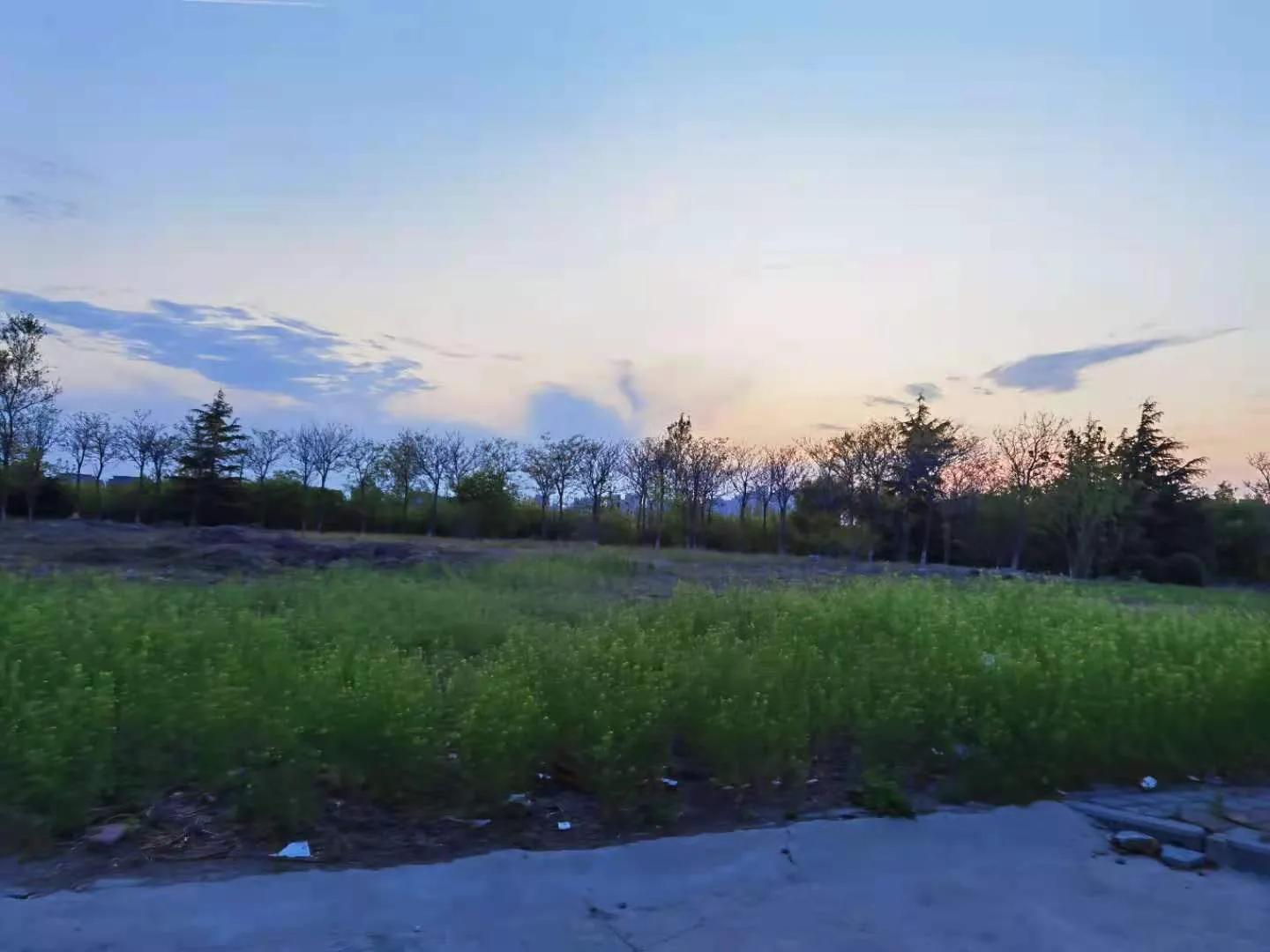 别人家的学校全集,别人家的学校风景