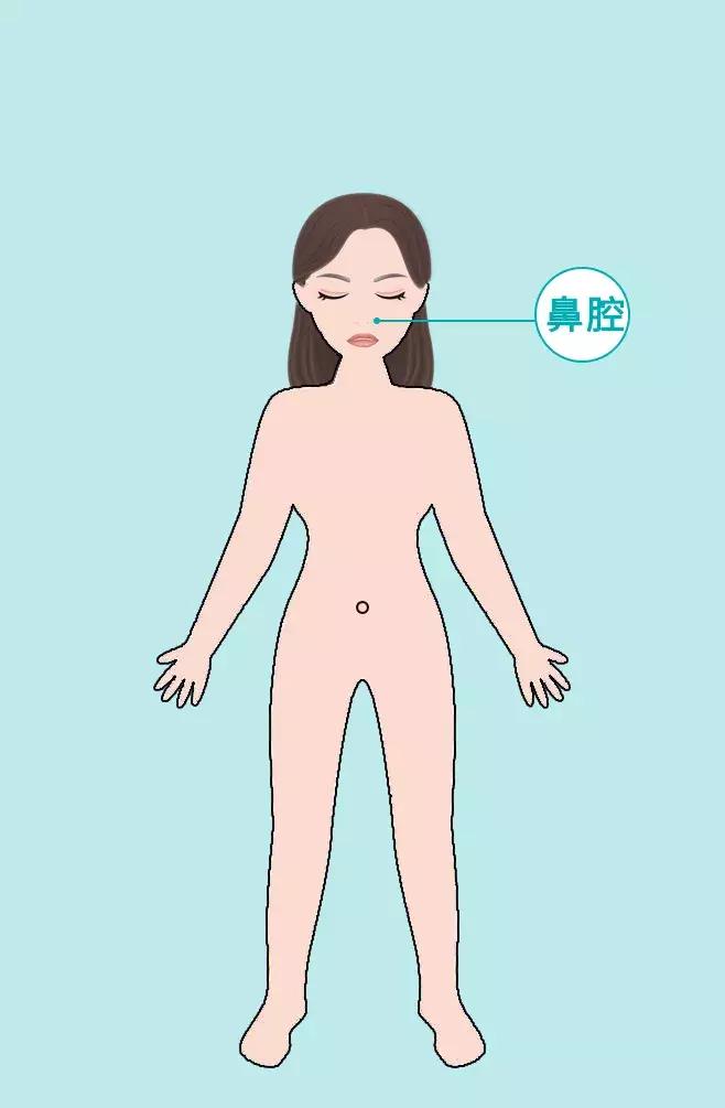 身体这6个部位太干净反而病越多,身体这6个部位太干净反而容易生病