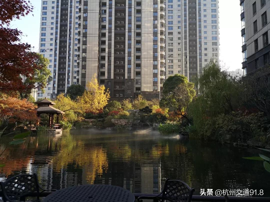 杭州市公安局通报表扬名单,杭州7户家庭被通报处理