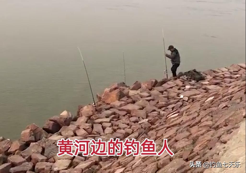 冬钓野河没口,冬季浅水野塘钓鲫鱼没有口