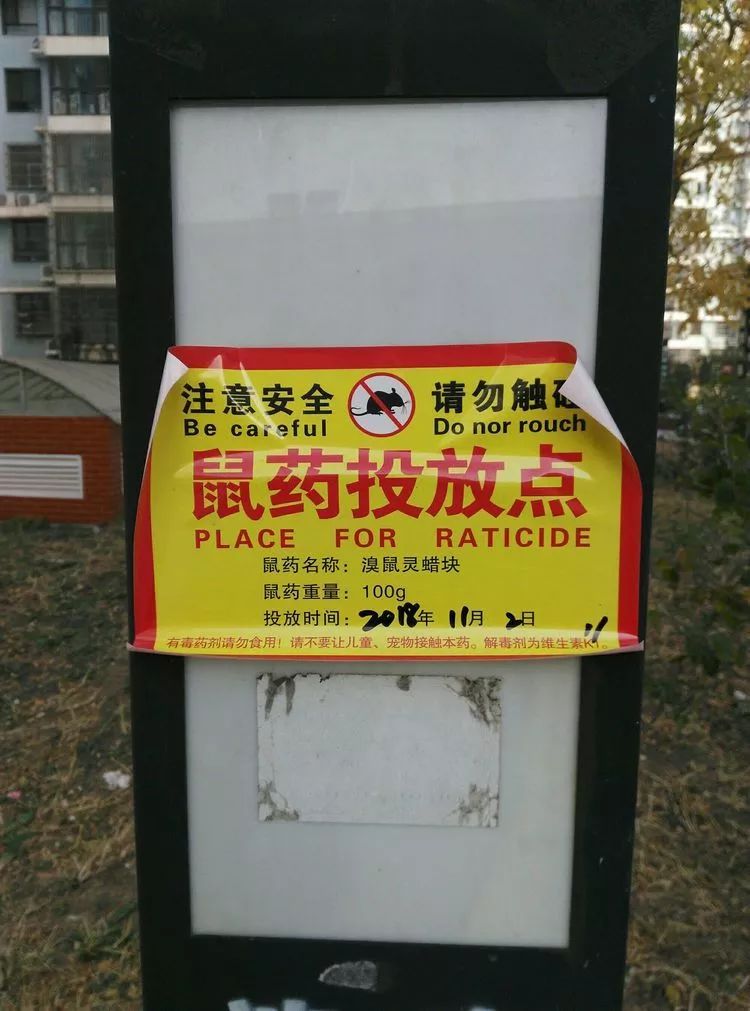 老景说事儿「小区投了老鼠药？家家户户要知道！」