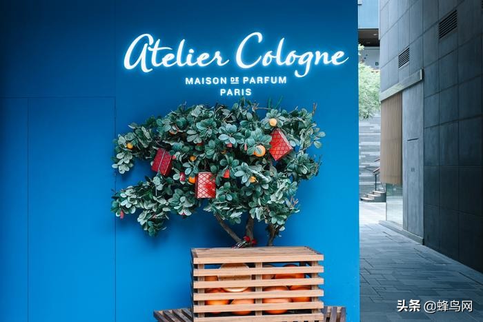 复古相机新选择尼康zfc上手体验,尼康fm2顶级功能