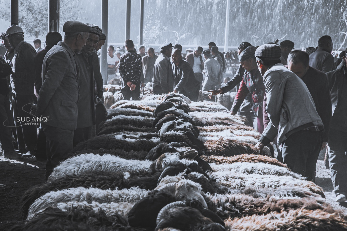 疆内哪里好玩风景好,疆内好玩的地方推荐