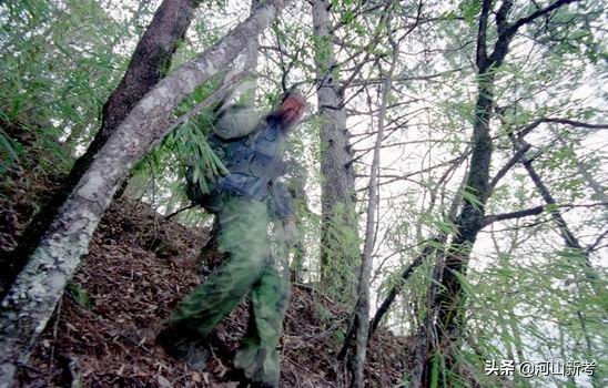 寻找野人的张金星现在如何,张金星神农架野人