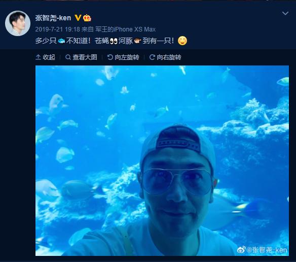 香港张智尧,港星张智尧