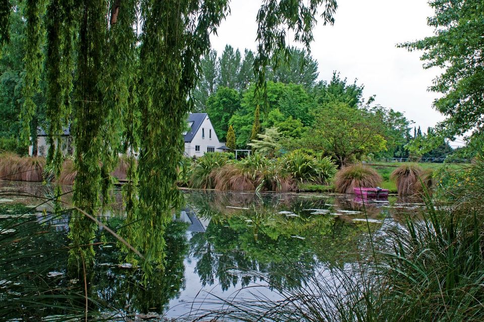 在新西兰奥克兰生活,在新西兰生活的优势