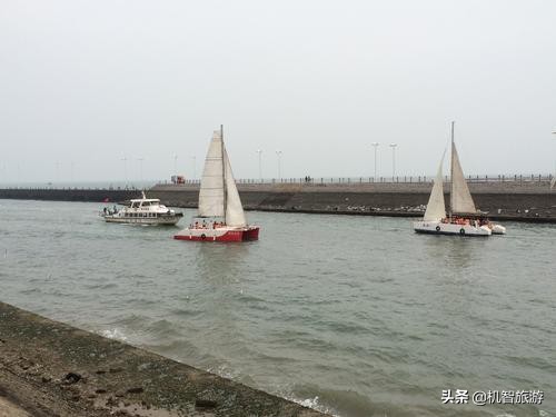 日照旅游渔家乐住宿别墅,日照渔民开的渔家乐