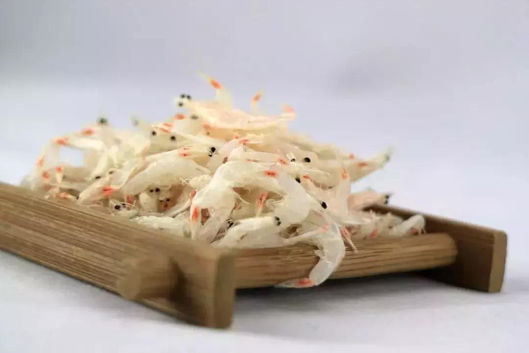 简单易做的补钙食品,这几道菜能补钙小孩子要常吃