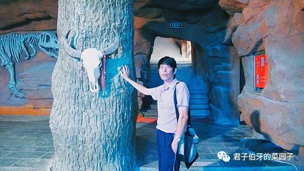 「西行散记」—10：大漠第一墩，长城“龙”尾，李战军