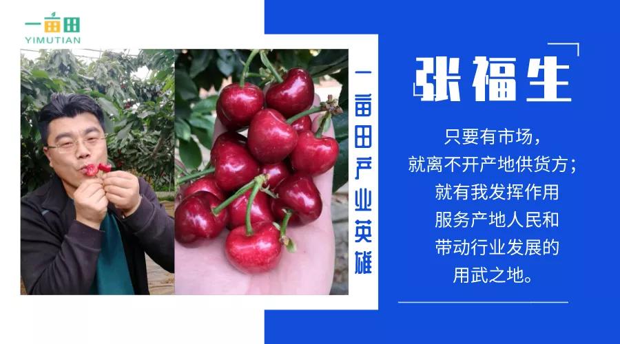 农村穷小子到一亩田榜一大哥，年入300万水果大王张福生的生意经