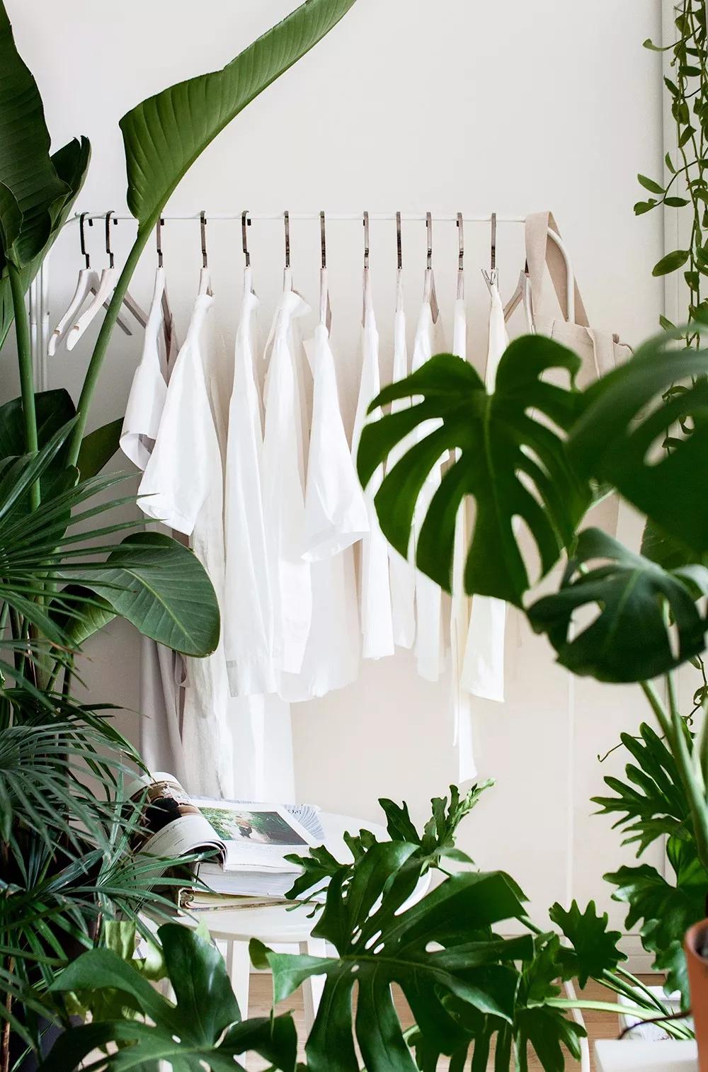 56岁阿姨独居2层别墅，不结婚不生娃，靠另类日式风圈粉无数人