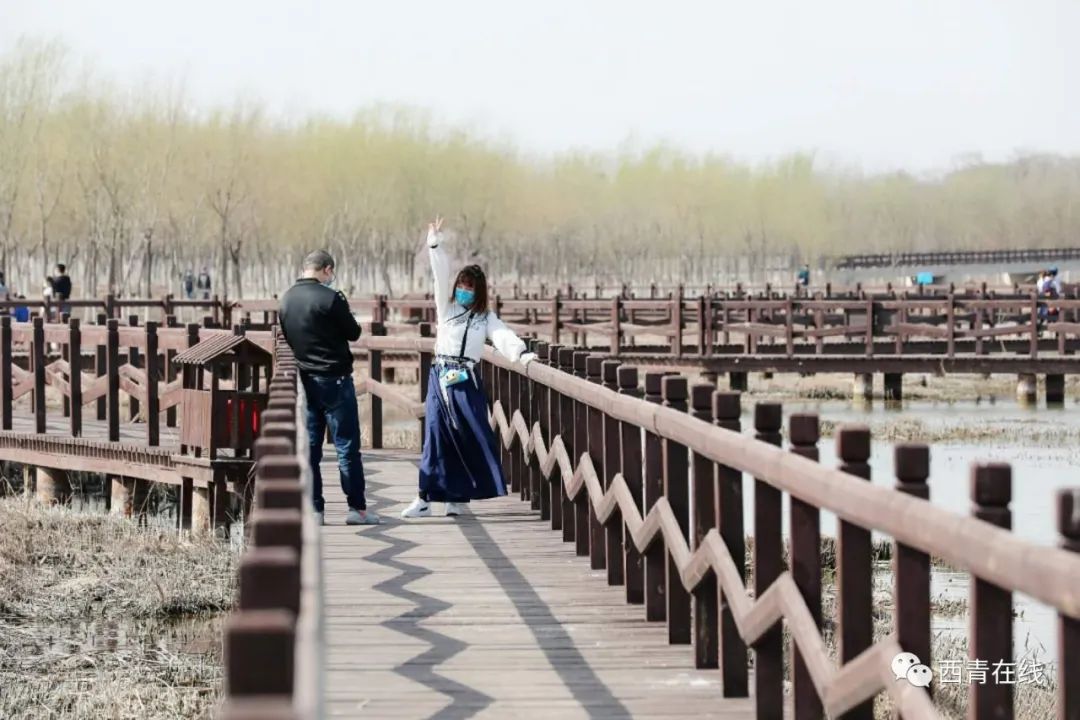 天津即将完工的公园,天津新开放的公园