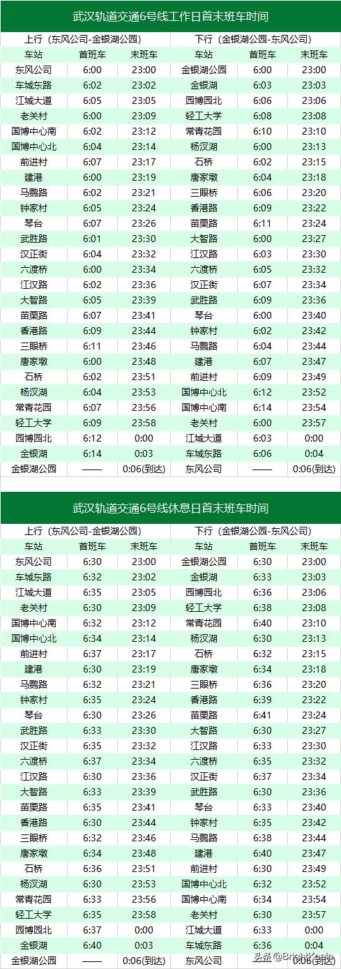 2021年武汉地铁,武汉地铁2021年底线路图